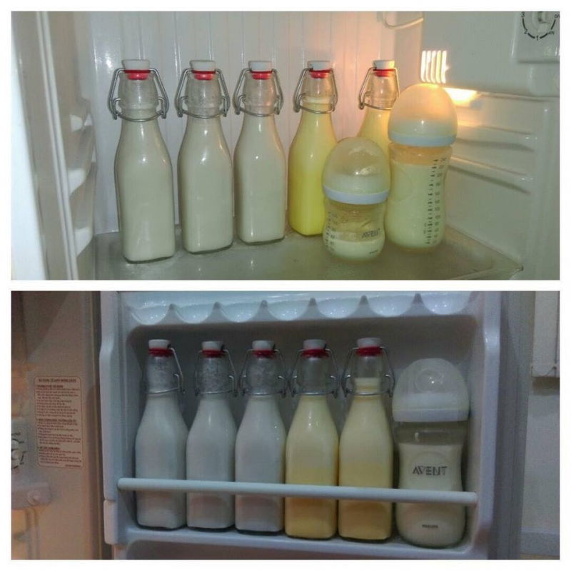 Bảo quản sữa bằng tủ đông