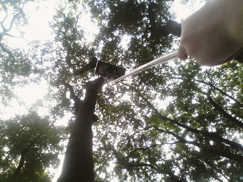 Chia sẻ kinh nghiệm