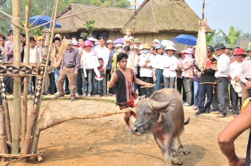 Dân tộc Brâu