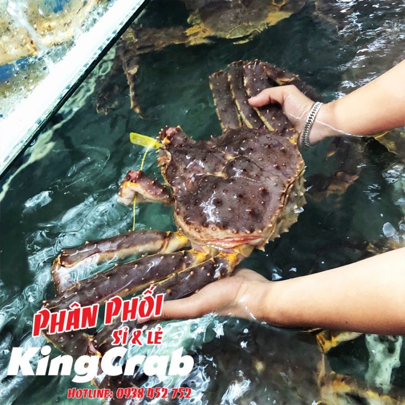 Hải Sản Sài Gòn - Phân Phối Sỉ & Lẻ KingCrab
