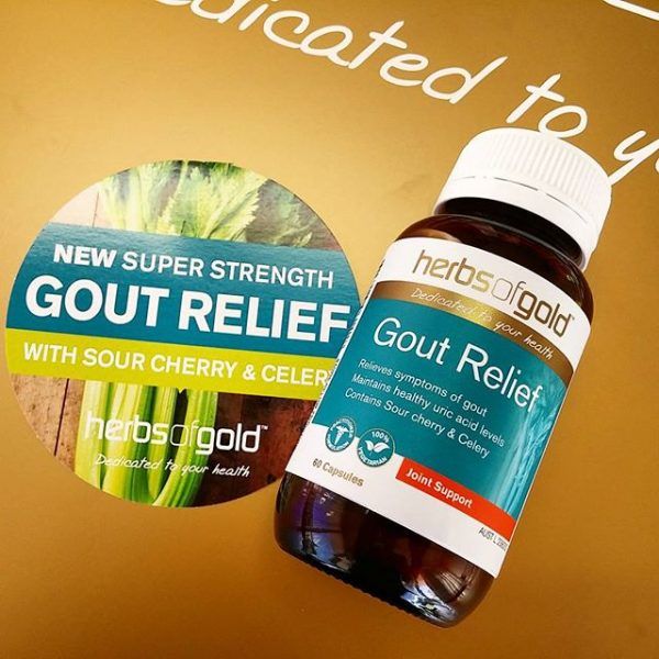 Herb Of Gold Gout Relief – Hỗ trợ điều trị gút