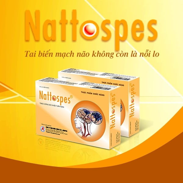 Nattospes - Giải pháp hỗ trợ điều trị tai biến mạch máu não