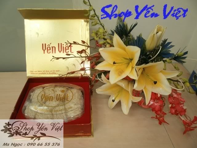 Shop Yến Việt