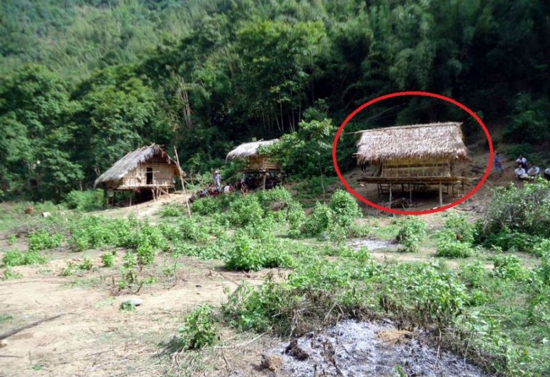 Thảm sát ở Nghệ An: Cả gia đình bị sát hại trong rừng