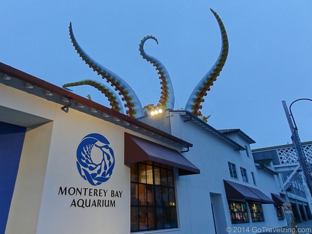 Thủy cung Monterey Bay, Mỹ