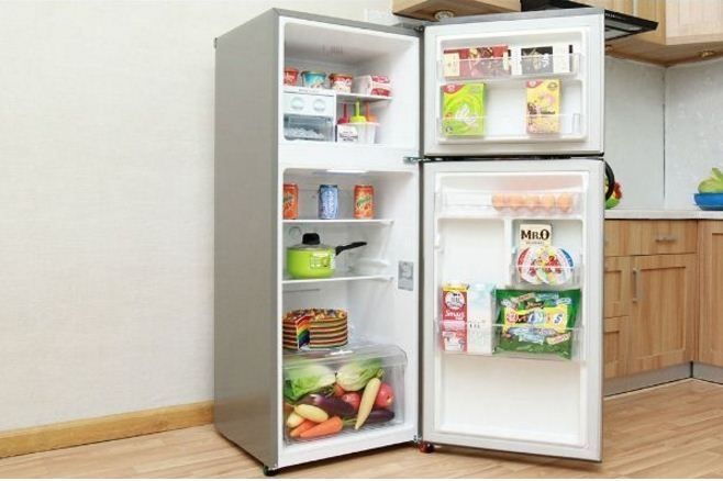 Tủ lạnh LG GN-L205PS 189 lít