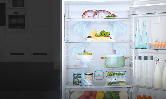 Tủ lạnh LG Inverter GN-L422GB
