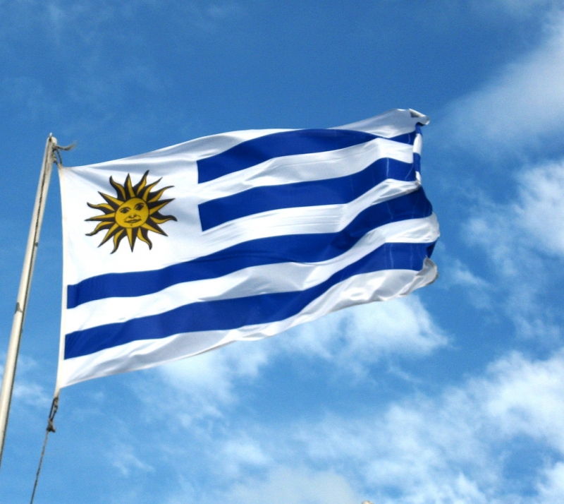 Uruguay (2 lần vô địch)
