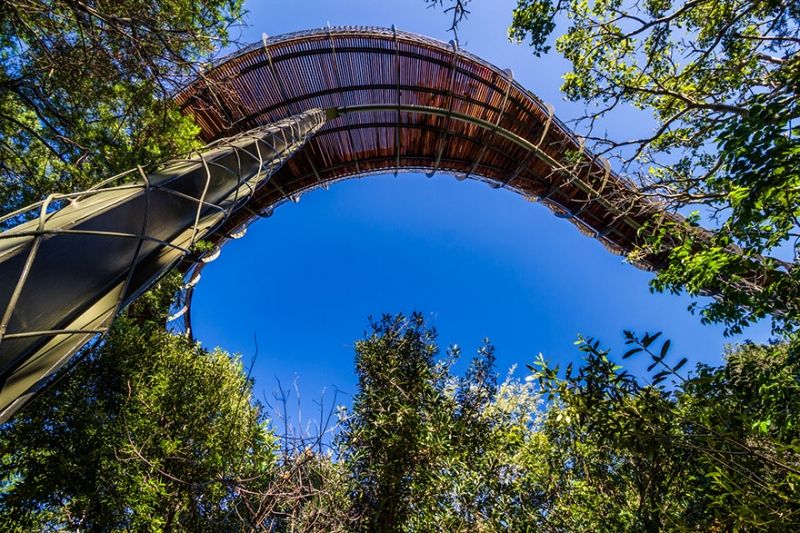 Vườn Bách Thảo Quốc gia Kirstenbosch - Nam Phi