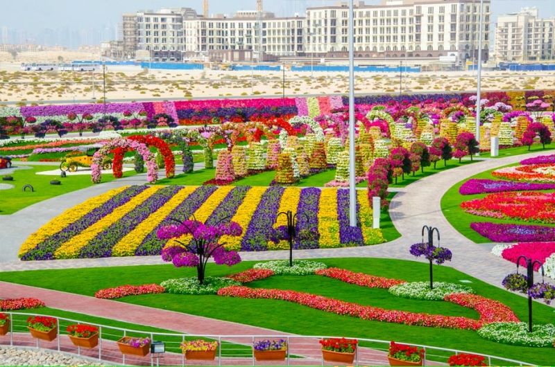 Vườn Dubai Miracle - Dubai