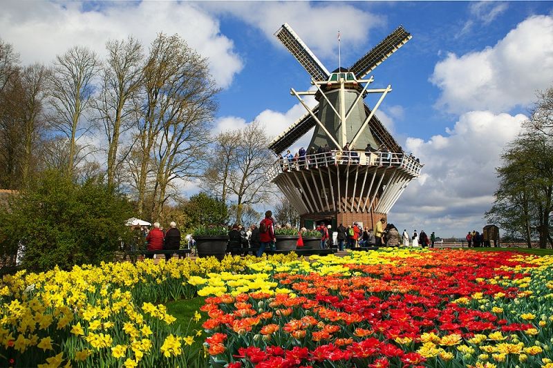 Vườn Keukenhof - Hà Lan