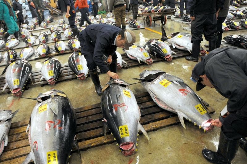 1. Chợ trung tâm Tsukiji
