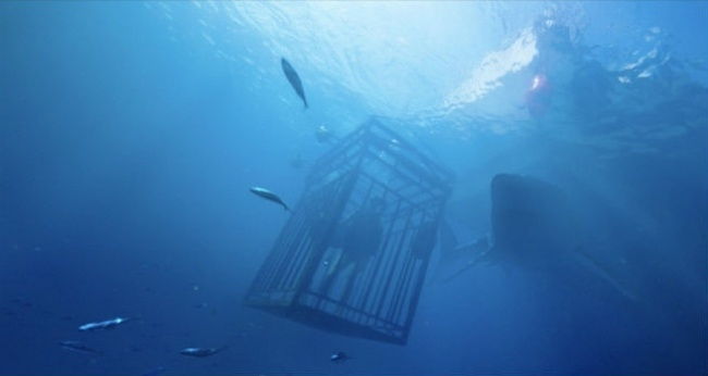 47 Meters Down - Độ sâu 47 mét