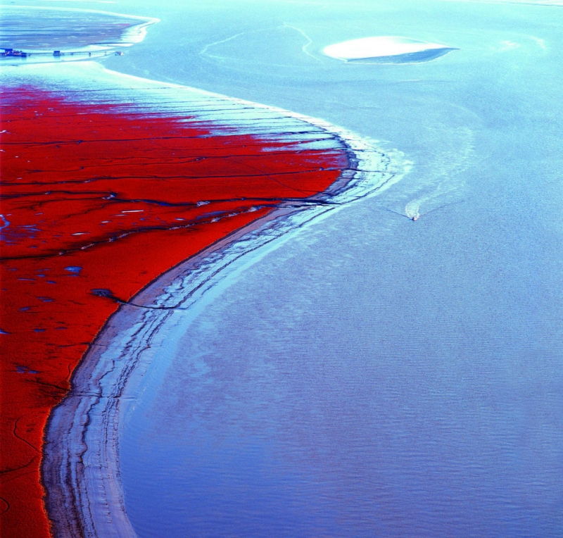 Bãi biển đỏ - Trung Quốc