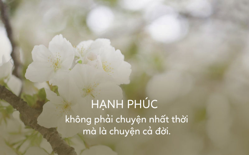 Bài thơ: CHUNG TÌNH! - Hoàng Minh Tuấn