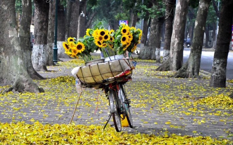 Bài thơ: ĐÊM CUỐI NĂM