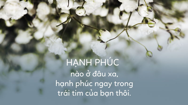 Bài thơ: HẠNH PHÚC LÀ GÌ HẠNH PHÚC ƠI -  Phạm Hùng