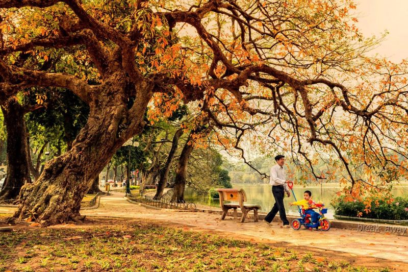 Bài thơ: HẠNH PHÚC -  Phan Huy Hùng