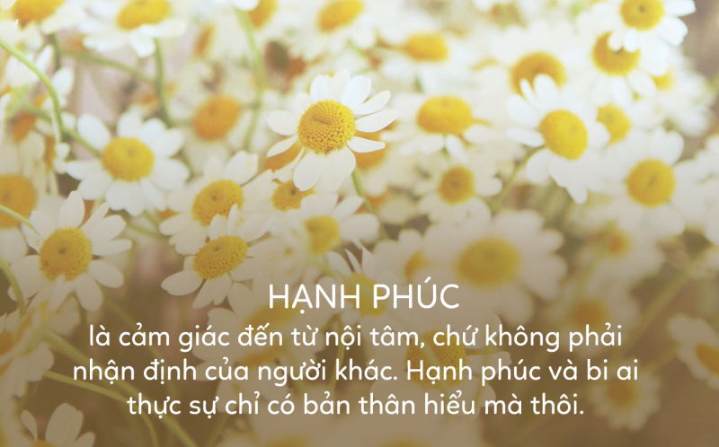 Bài thơ: HẠNH PHÚC TÌM VỀ -  Hoàng Như Phượng