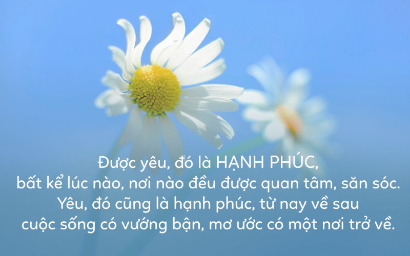 Bài thơ: HOA HẠNH PHÚC - Trịnh Thanh Hằng Bài thơ: HOA HẠNH PHÚC - Trịnh Thanh Hằng