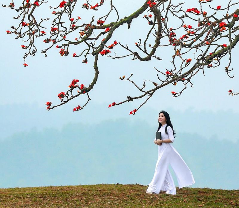 Bài thơ: KHÚC HỒI TƯỞNG THÁNG BA -  Nguyễn Văn Chương