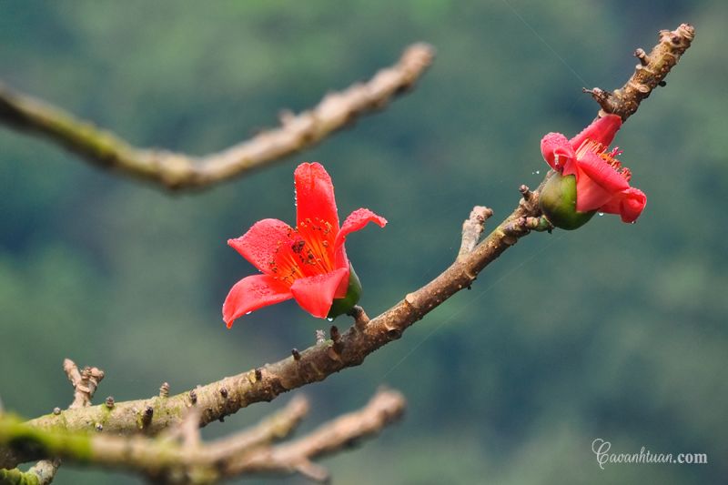 Bài thơ: Một mình - ﻿Trần Thanh Nhàn ﻿