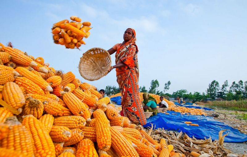 Bangladesh