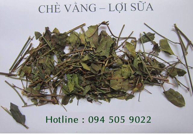 Chè vằng Minh Hương