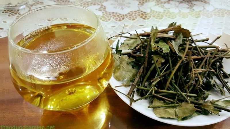 Chè vằng của Thảo dược ba miền