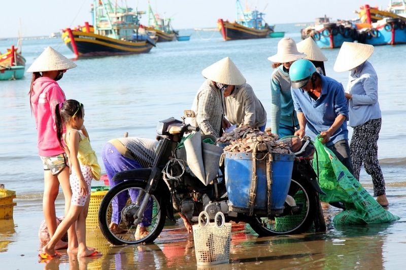 Chợ hải sản ven biển giá rẻ