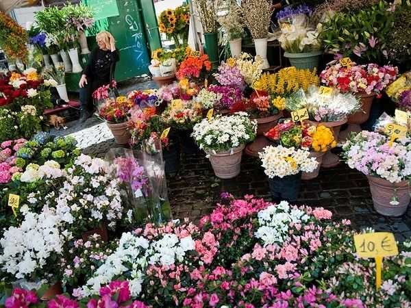 Chợ hoa Lạc Long Quân