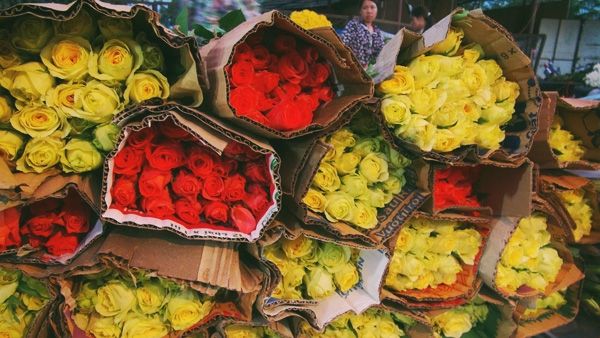 Chợ hoa Mai Dịch