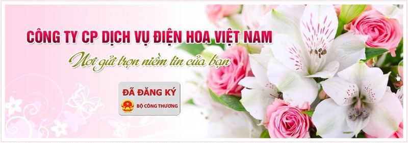 Công ty Cổ phần Điện hoa Việt Nam