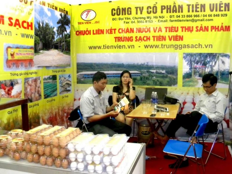 Công ty cổ phần Tiên Viên