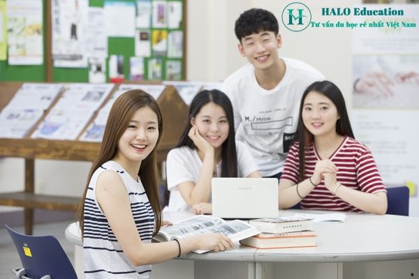Công ty du học & Đào tạo ngoại ngữ HALO Education