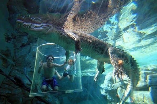 Crocosaurus Cove, Australia