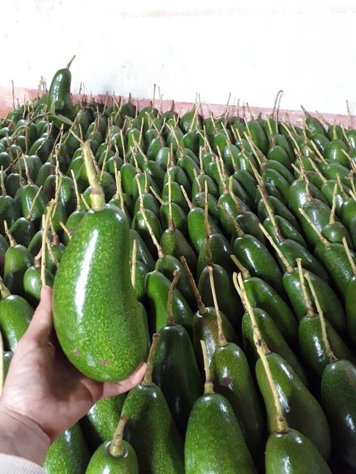 DNDMart - Thực Phẩm Sạch Hải Phòng DNDMart - Thực Phẩm Sạch Hải Phòng