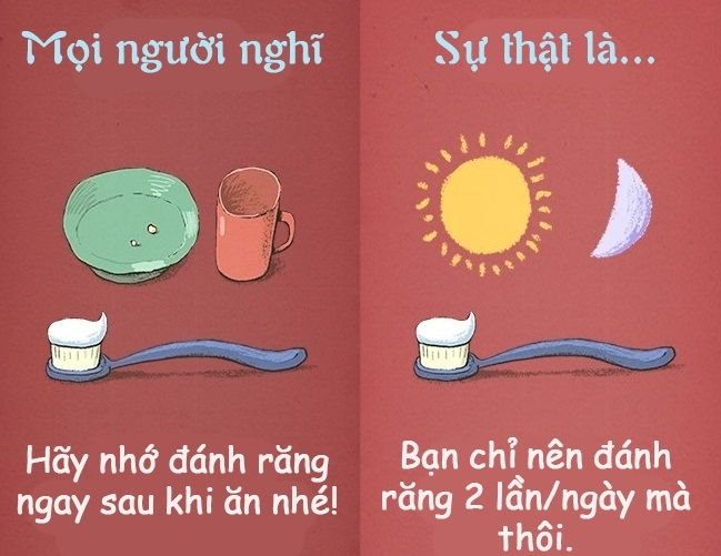 Đánh răng ngay sau mỗi bữa ăn