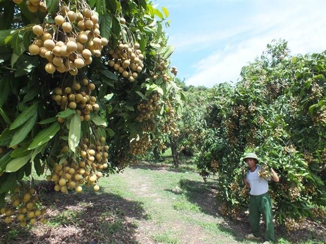 Đẹp da , đẹp tóc