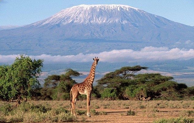 Đỉnh núi cao nhất Châu Phi: Kilimanrajo