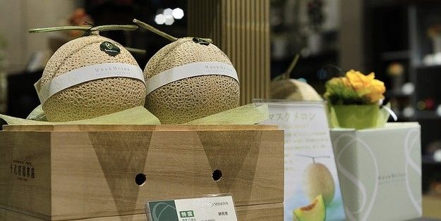 Dưa lưới Yubari Dưa lưới Yubari