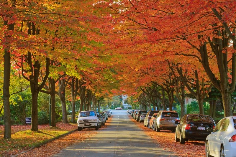 Đường phố ở Vancouver, Canada