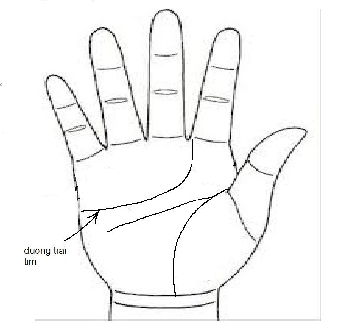 Đường trái tim cách xa chân các ngón tay Đường trái tim cách xa chân các ngón tay