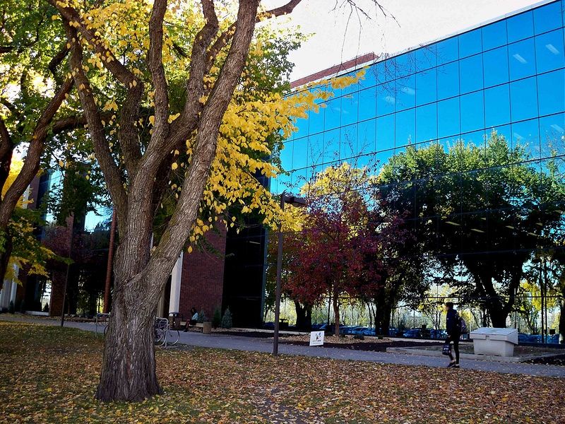 Đại học Alberta, Edmonton