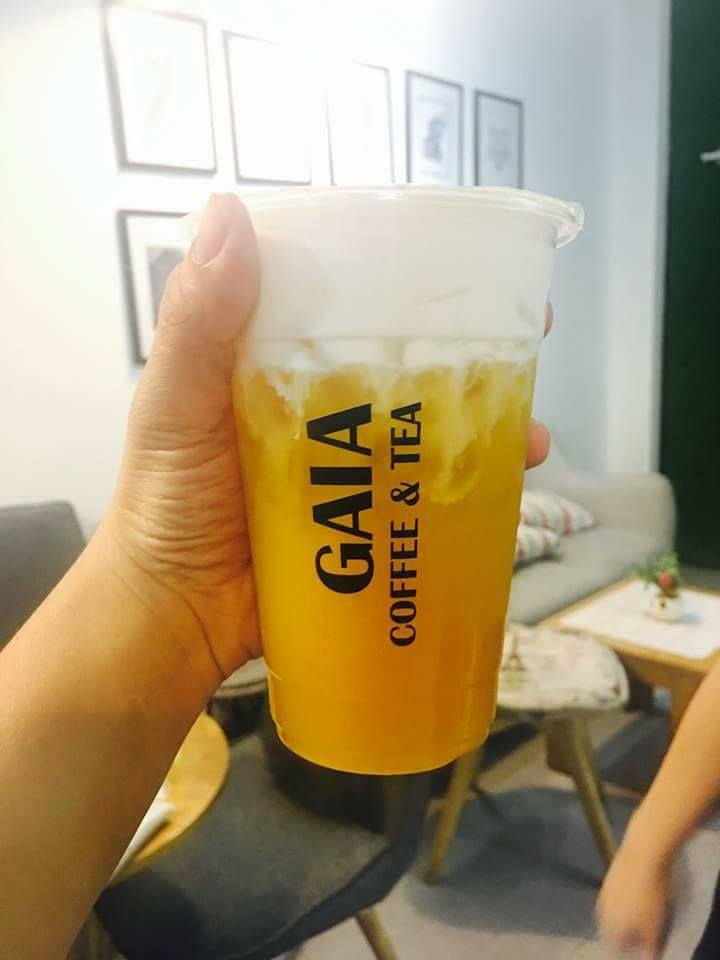 GAIA Coffee & Tea