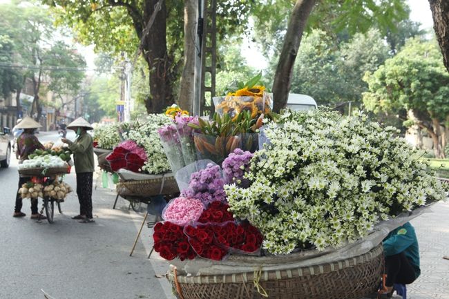 Gánh hàng hoa rong trên mọi con phố