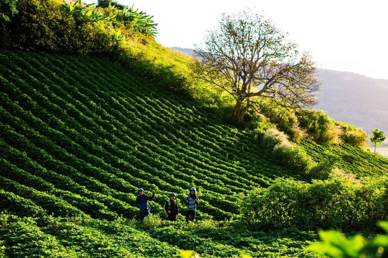 Gia Lai – Tỉnh nghèo nhất Tây Nguyên