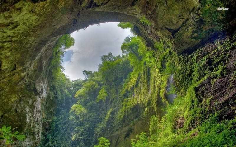 Hang Sơn Đoòng: hang động lớn nhất Thế Giới