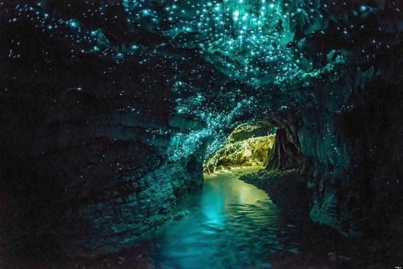 Hang động Waitomo Glowworm, New Zealand