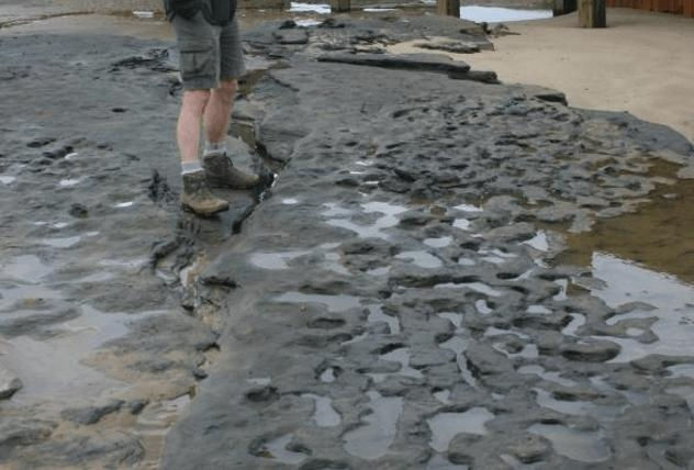 Happisburgh Footprints